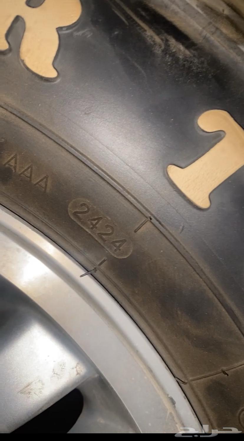 للبيع جنوط الحميد64384534812545113