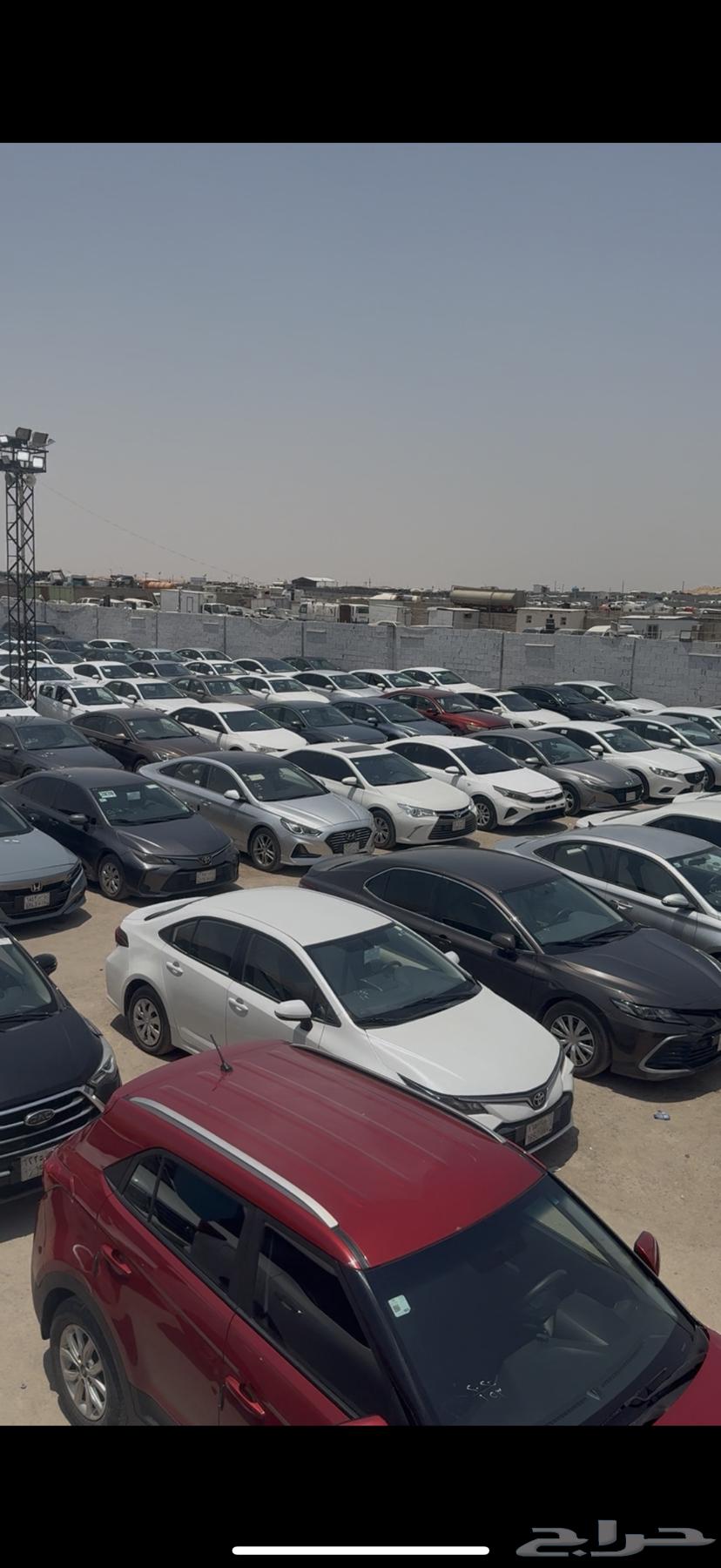 الرياض مجمع مزادات الحاير64378032298498110