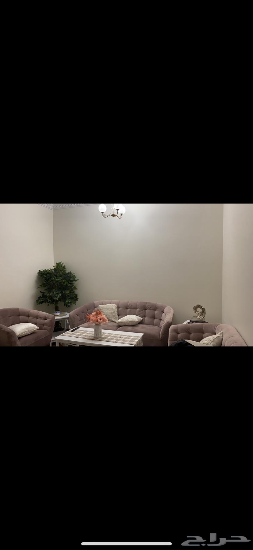Sofa for sale, table and rug64146424603010111