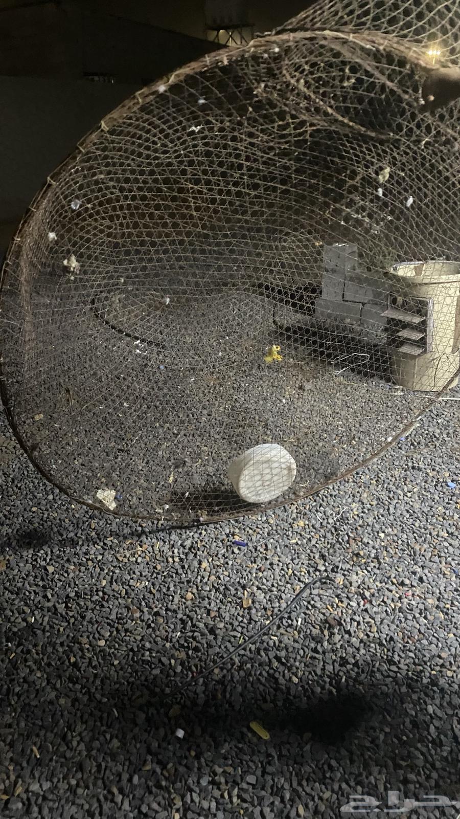 شبك للبيع64385691199490111