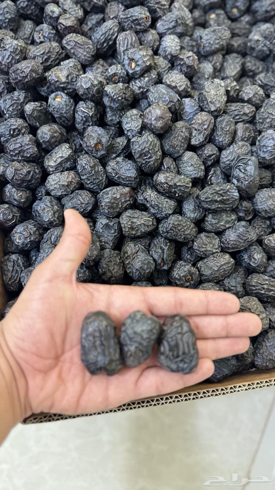 تمر عجوة المدينة المنورة الفاخر64192728453507111