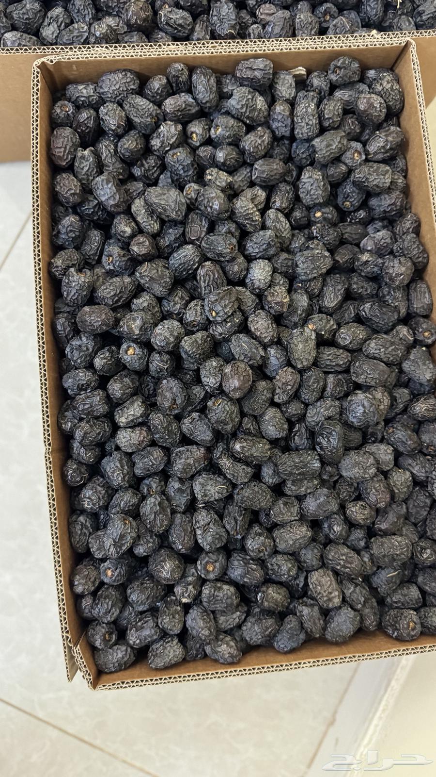 تمر عجوة المدينة المنورة الفاخر64192728453507112