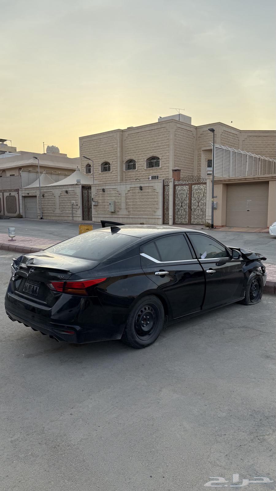 Tayma Full Text 202464394123065858110