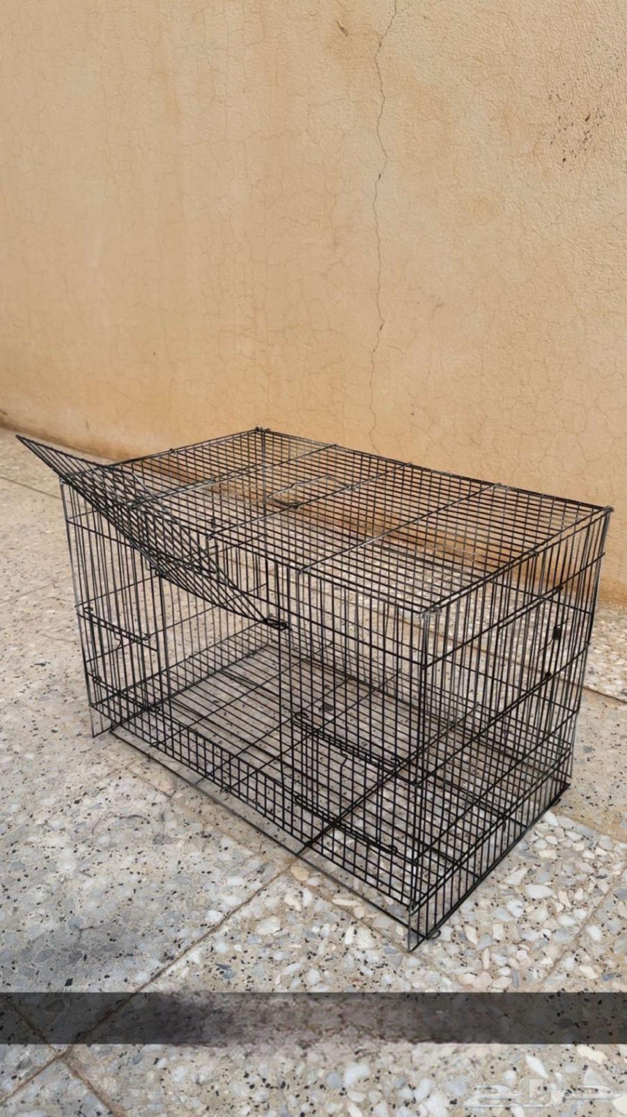 قفص 600 للبيع64178516772611110