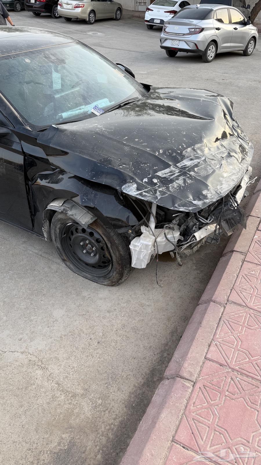 Tayma Full Text 202464394123065858113