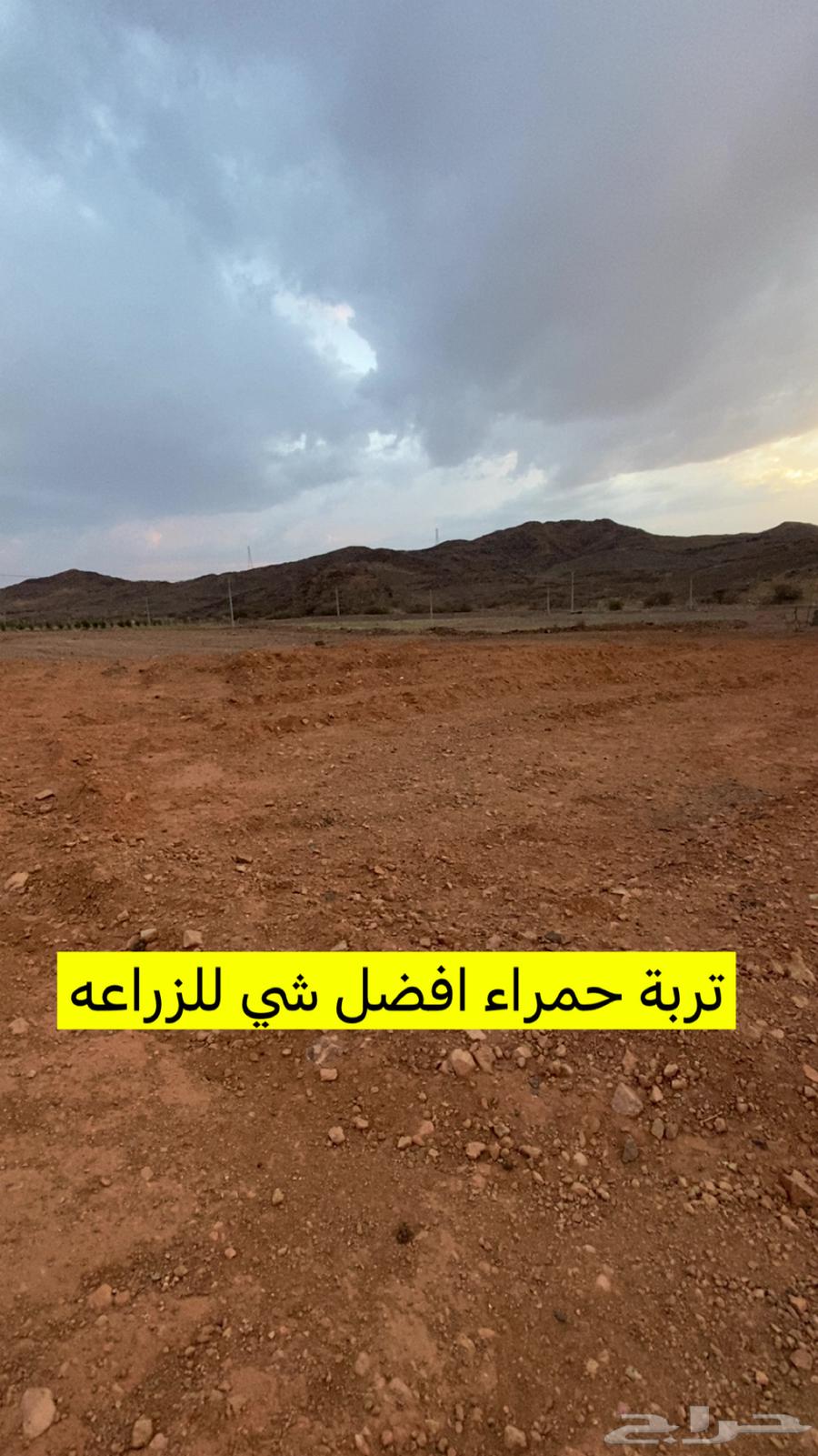 Al Bahah - Al Aqiq, Wadi Tharad63613332098562112