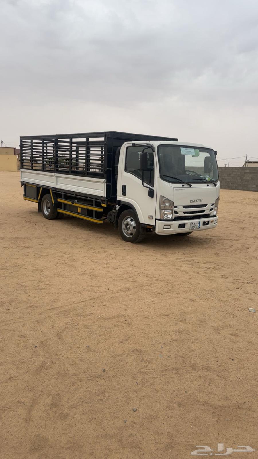 دينا ايسيزو لليجار64387759925377111