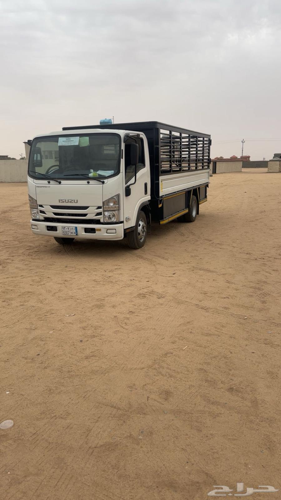 دينا ايسيزو لليجار64387759925377112