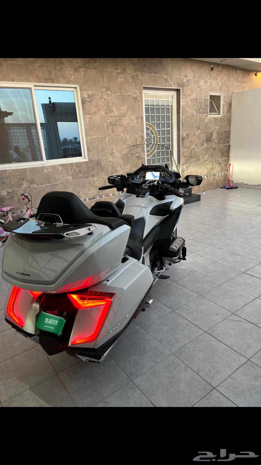 جولد وينق 201864386346943747113