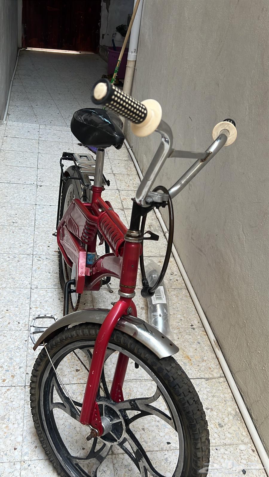 سيكل رامبو إندونيسي64186823422594110