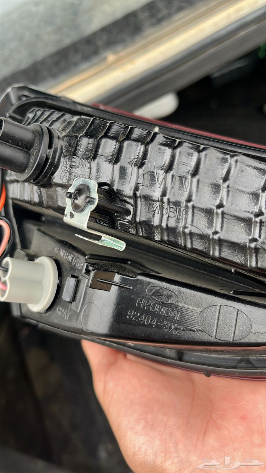 اصطب الانترا64386766077186112