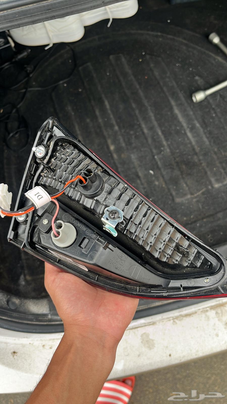 اصطب الانترا64386766077186113