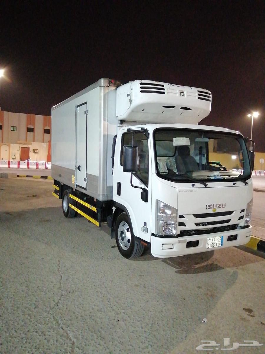 دينا شبة جديد 2023 مالك اول64394662278914111