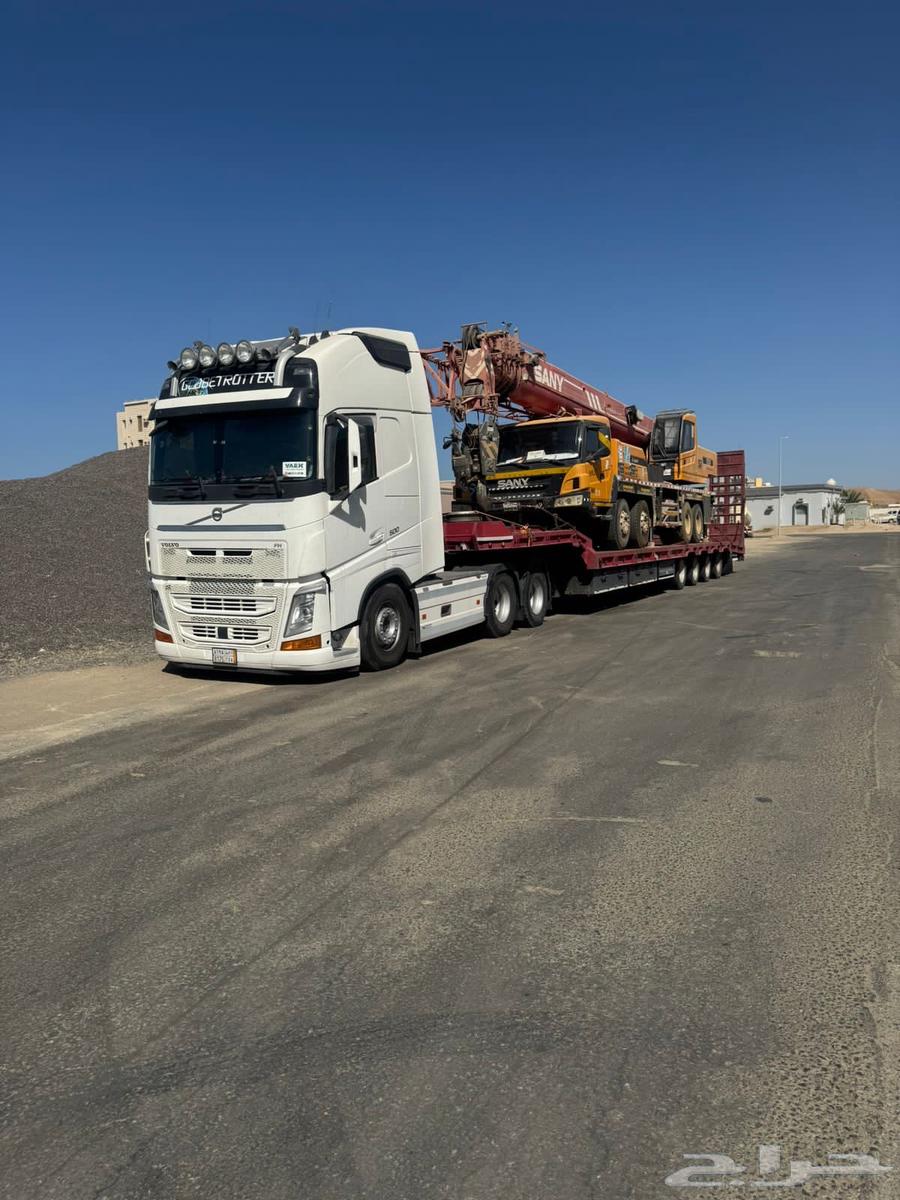 لوبد في القصيم64385761285377111