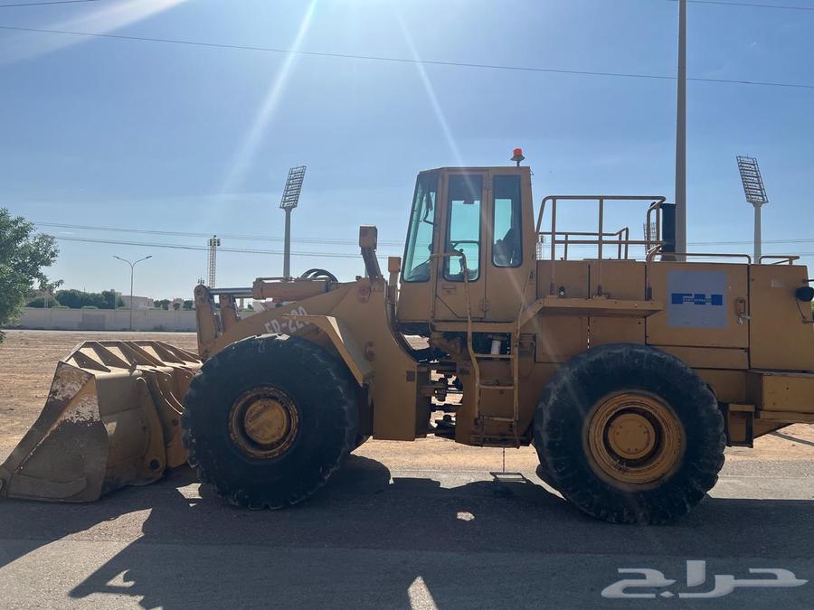 شيول64388093186049113