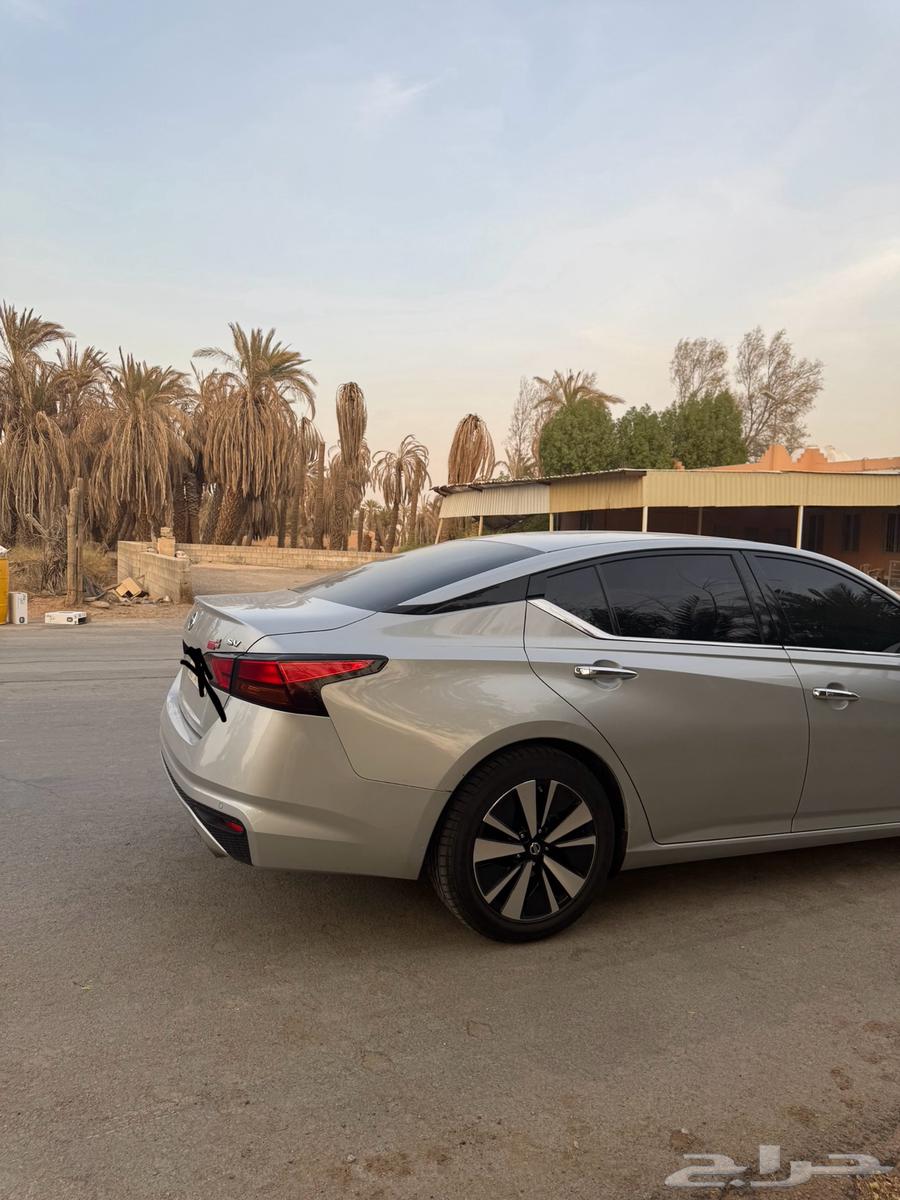 Tayma 202264395102323459112