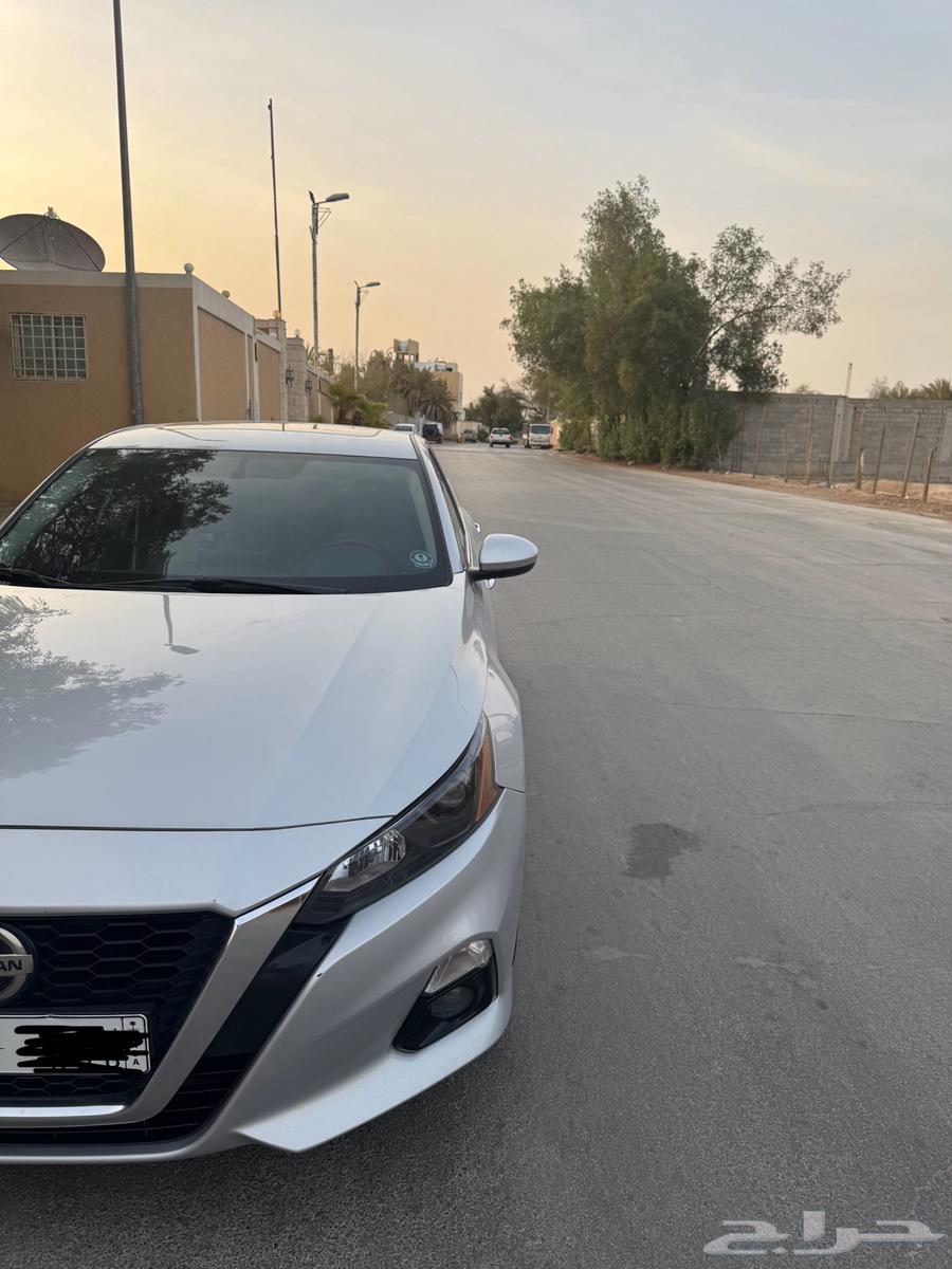 Tayma 202264395102323459114