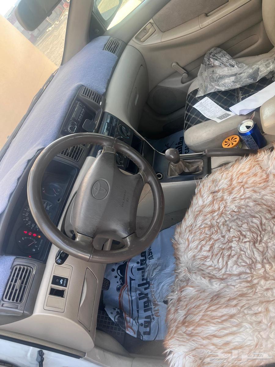 كوريلا موديل 200264387648733570113