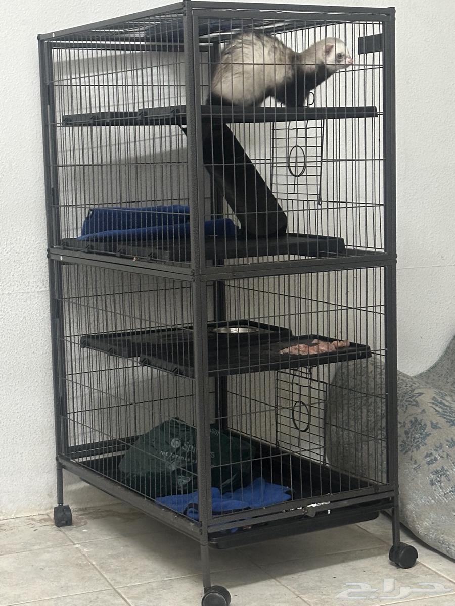 نمس للبيع64187184154626110