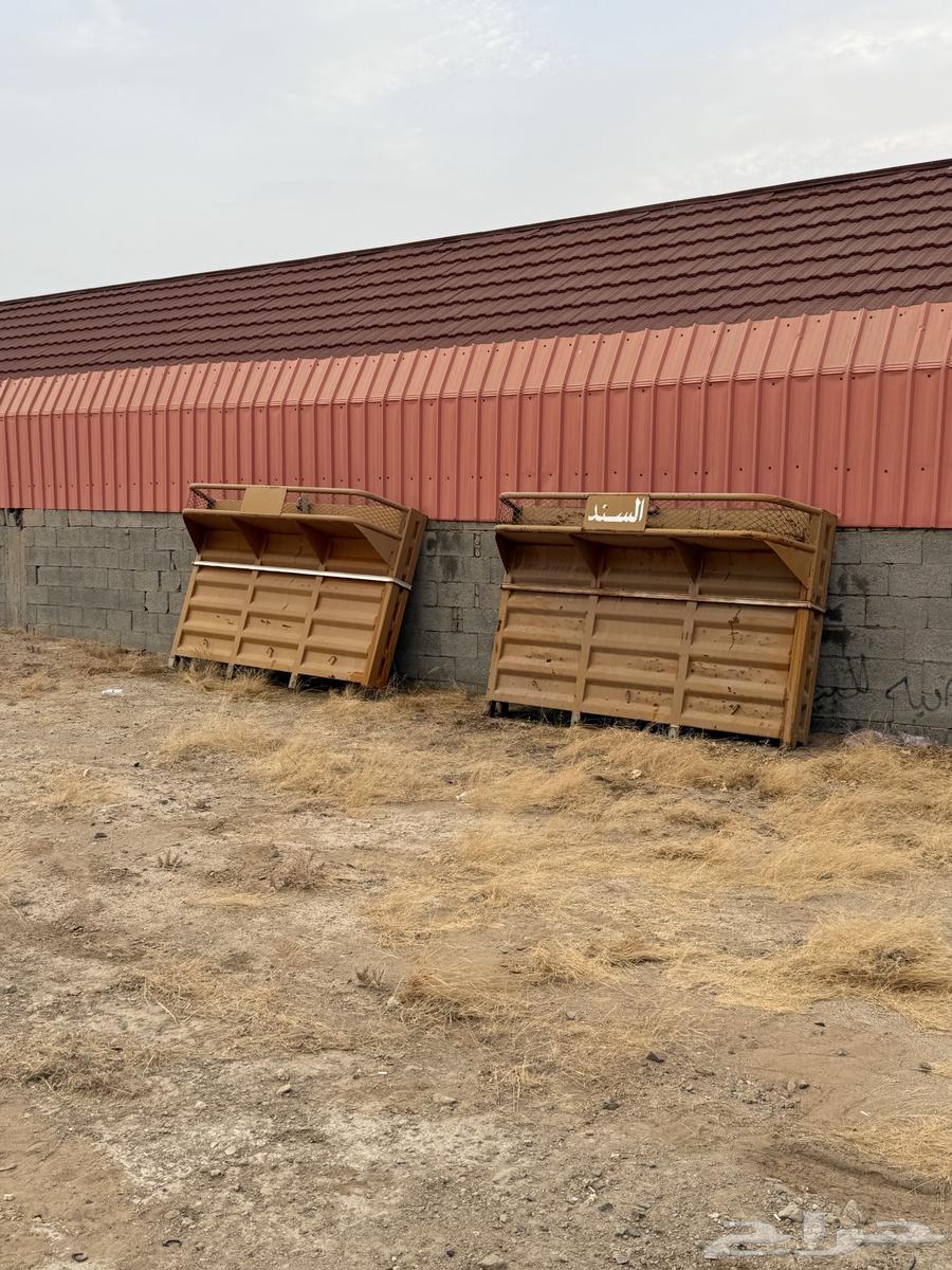 The Absolute Tether has been issued64385634974211110