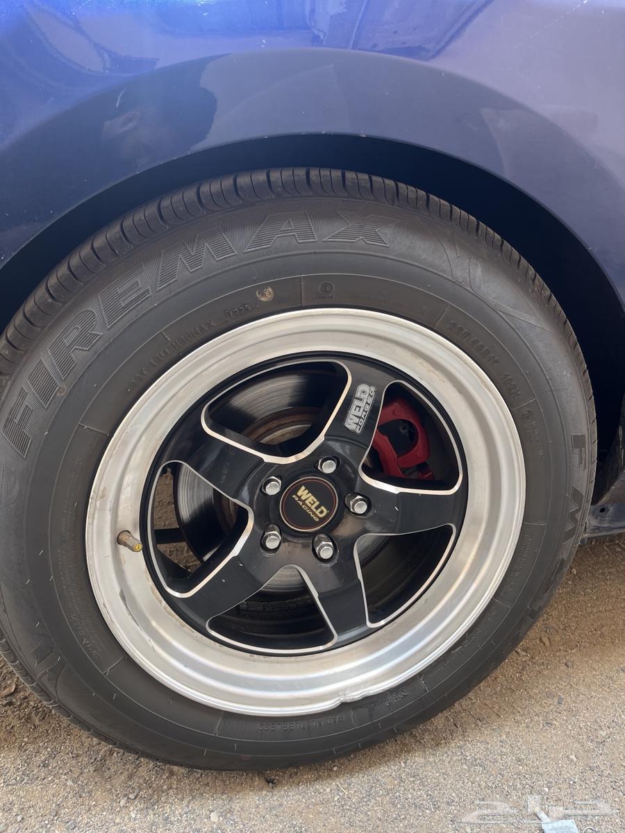 جنوط ويلد موستنق64390374897281110