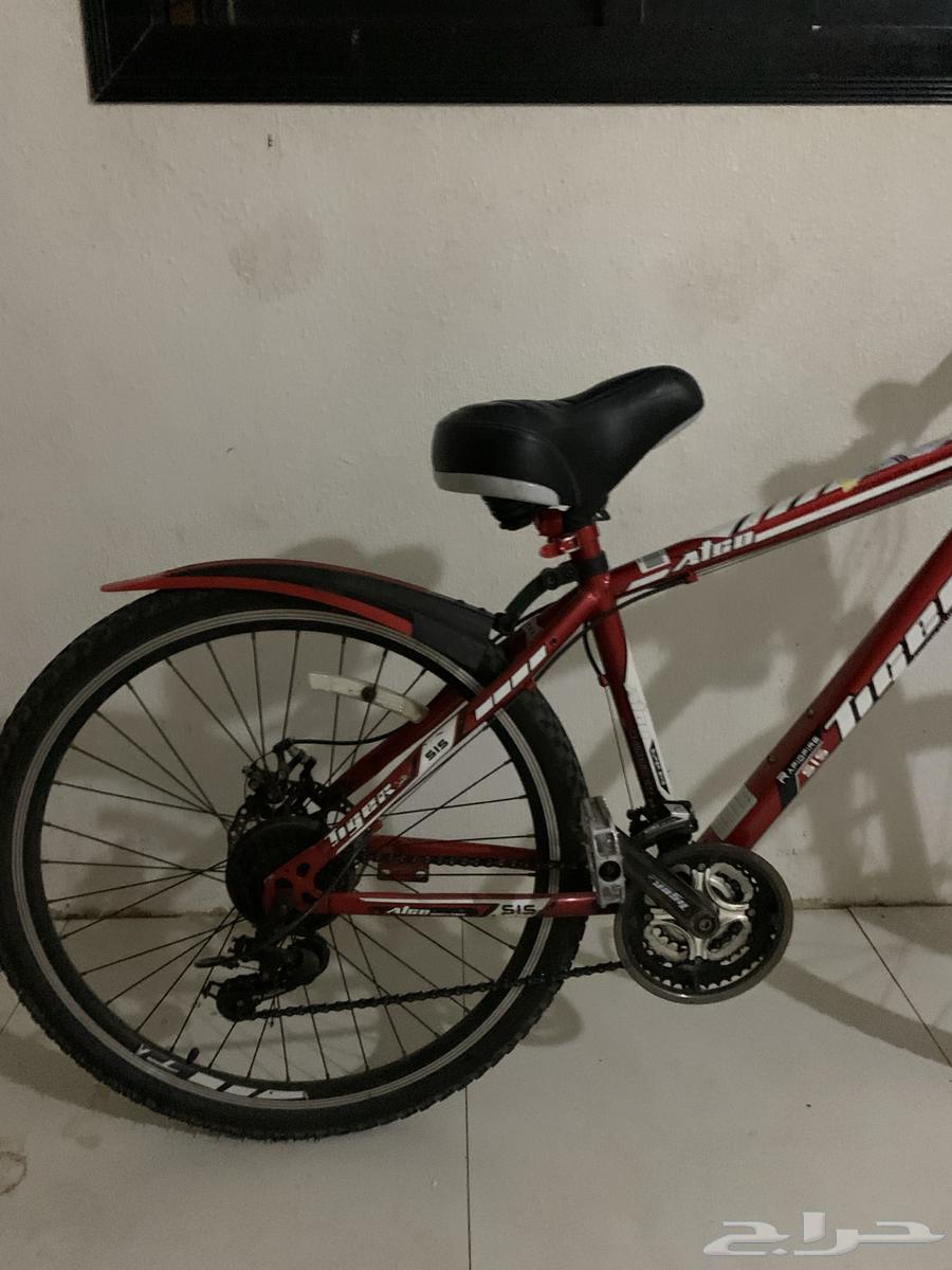 Clean speed bike64176677806851110