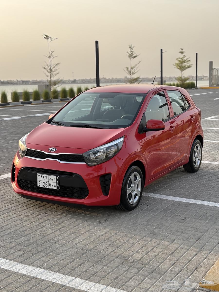 للبيع كيا بيكانتو موديل 2020 قمه في النظافه64386612996482112