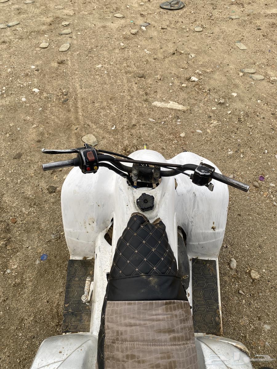 Four-wheeled tracked vehicle with handles64386641309825113