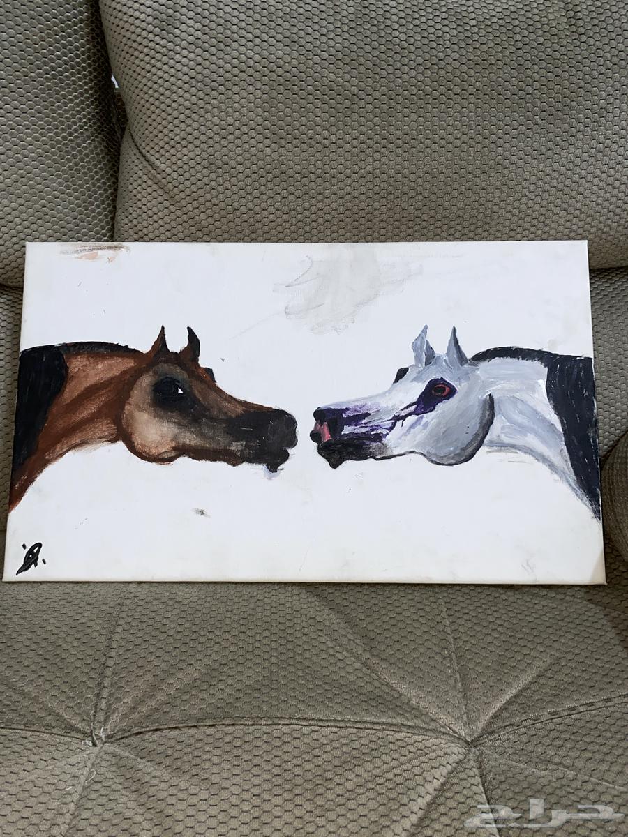 لوحة حصان64178956447361111