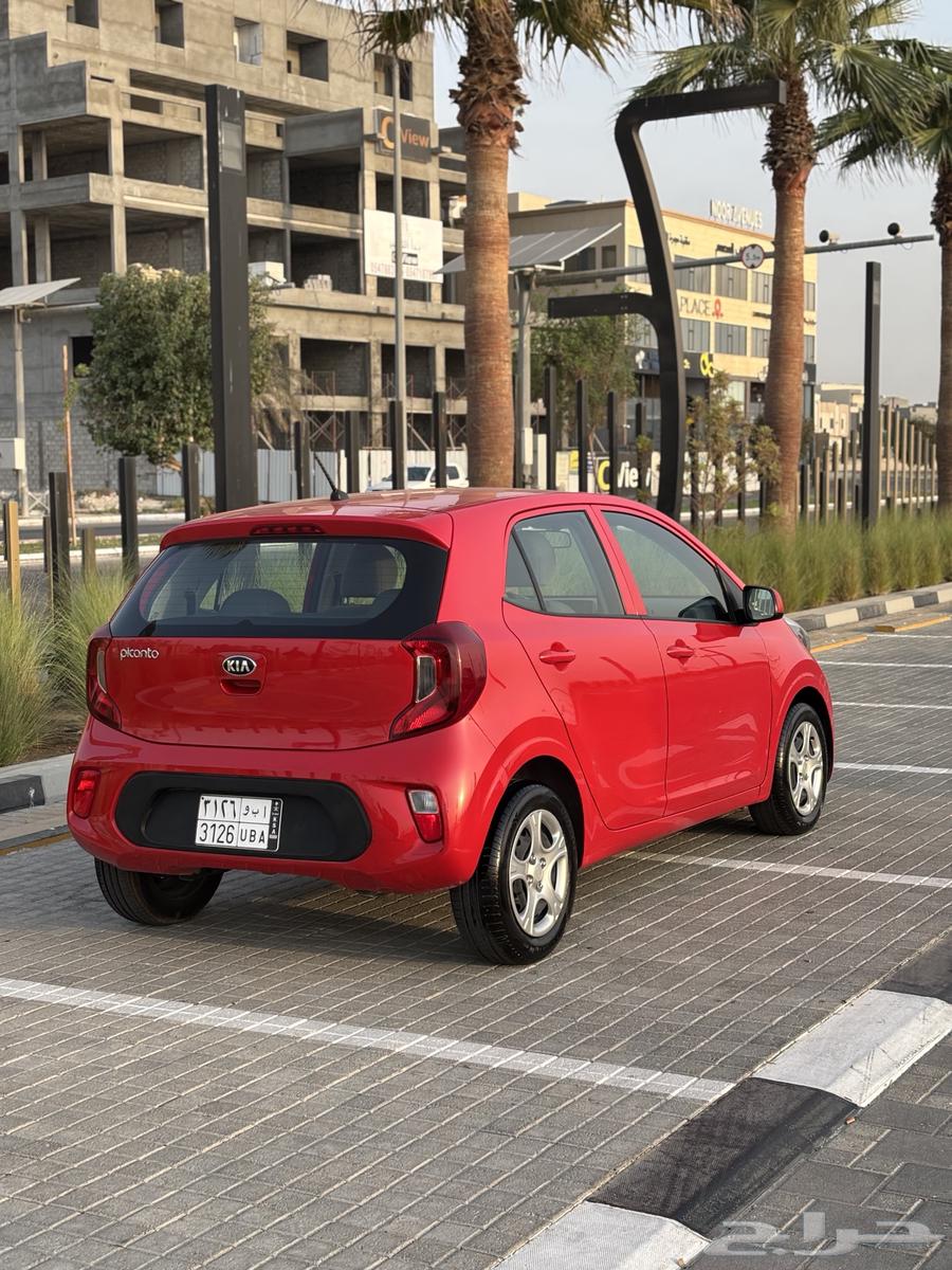 للبيع كيا بيكانتو موديل 2020 قمه في النظافه64386612996482114