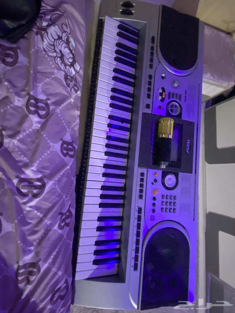 حزما ستيدو سكارليت معه لأب توب64197717391618112