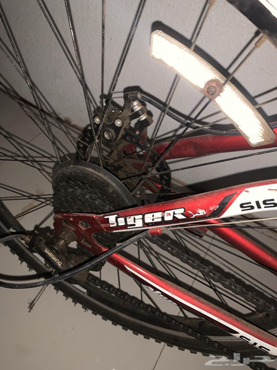 Clean speed bike64176677806851114