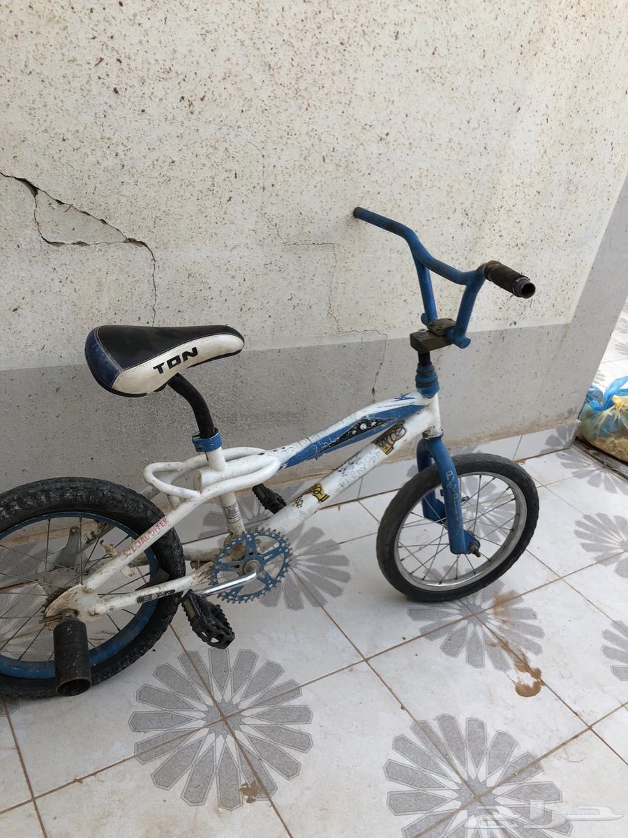 Bicycle64386543151363111