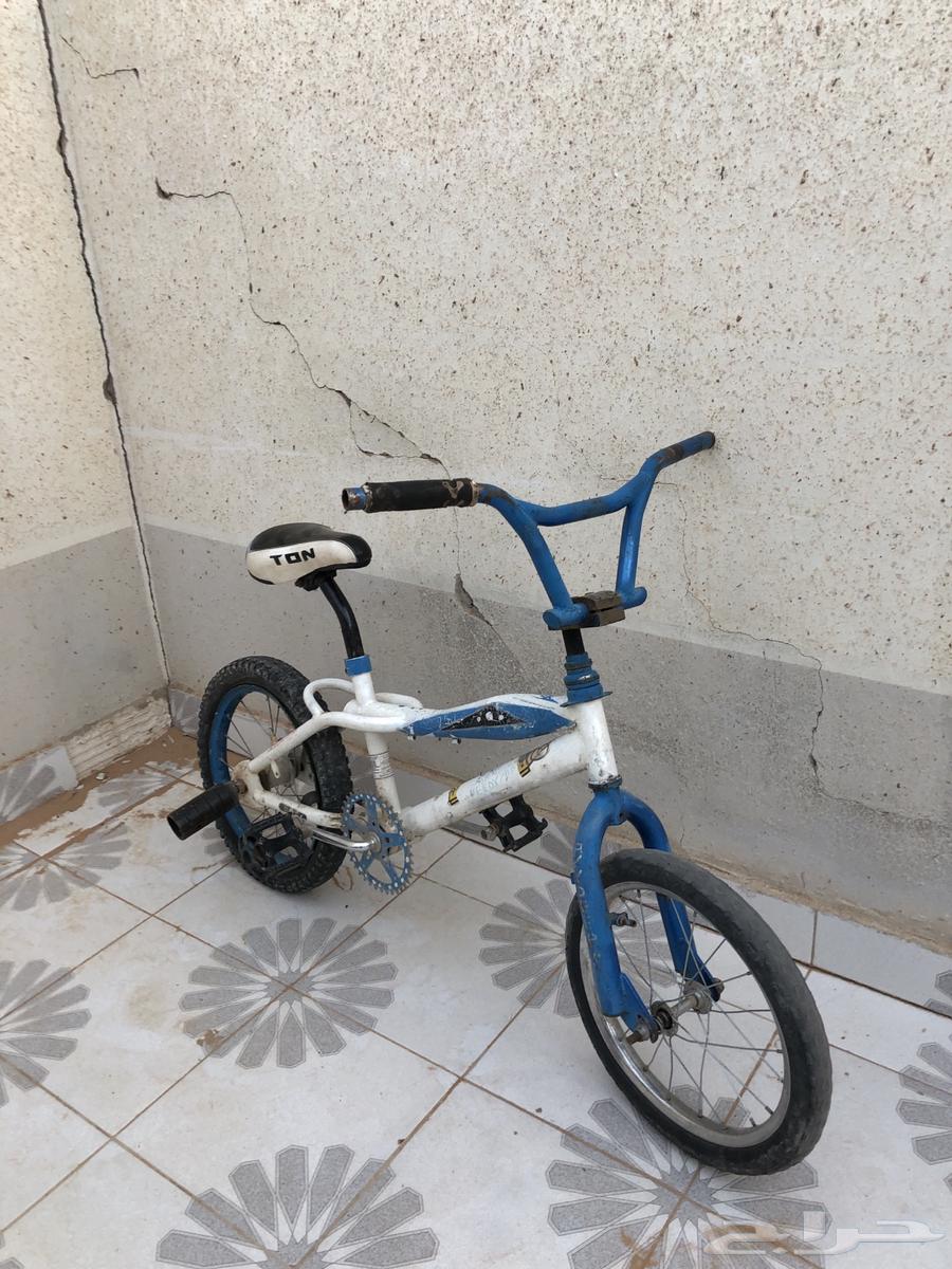 Bicycle64386543151363110
