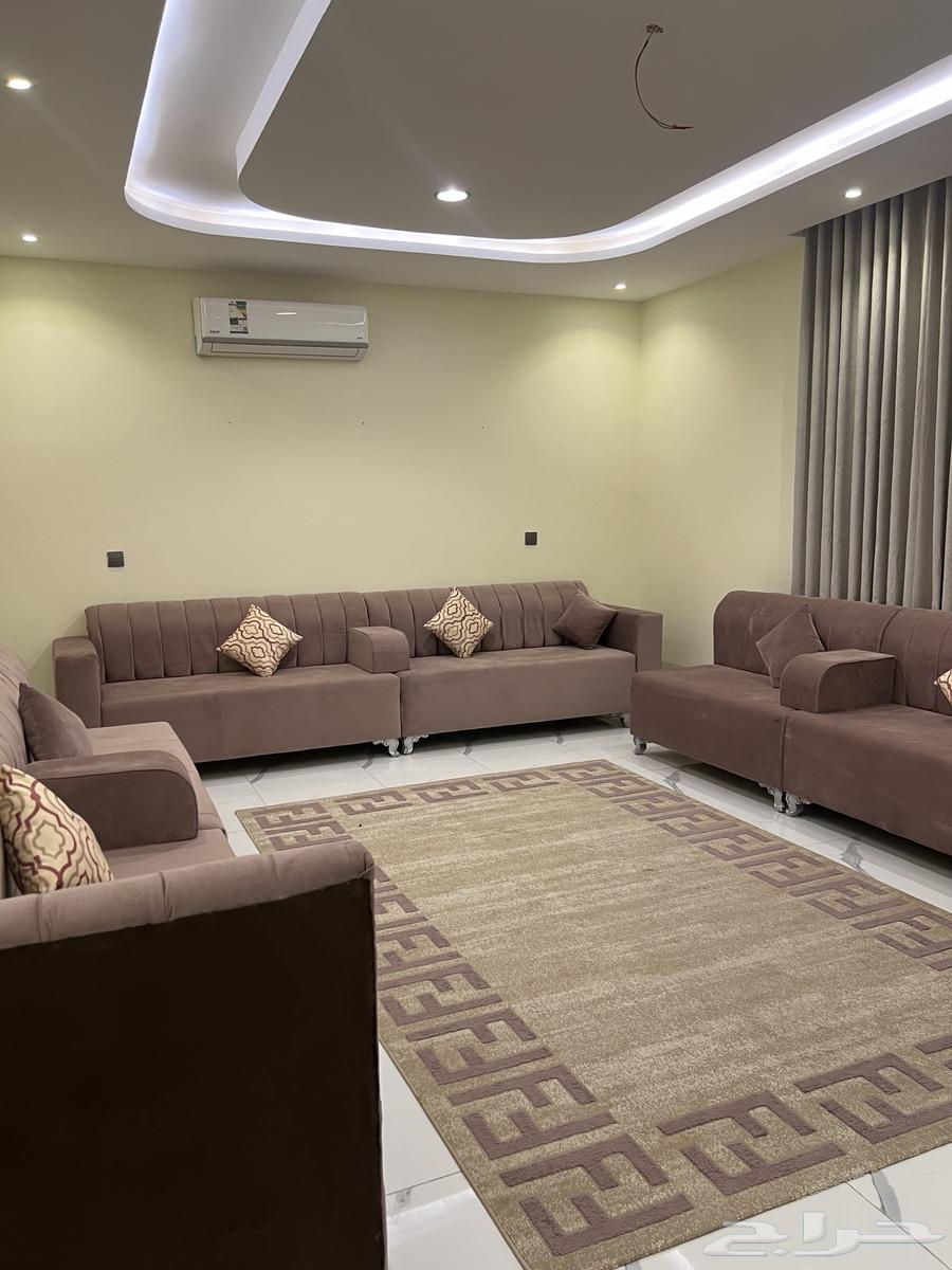 Majlis and room63612649802243112