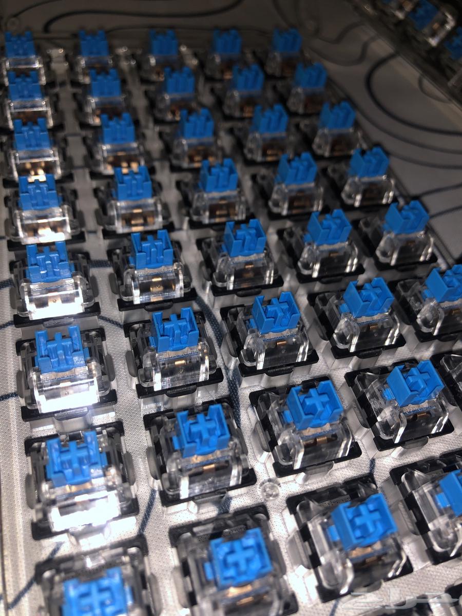 Switches (Blue Color)64181204099202111