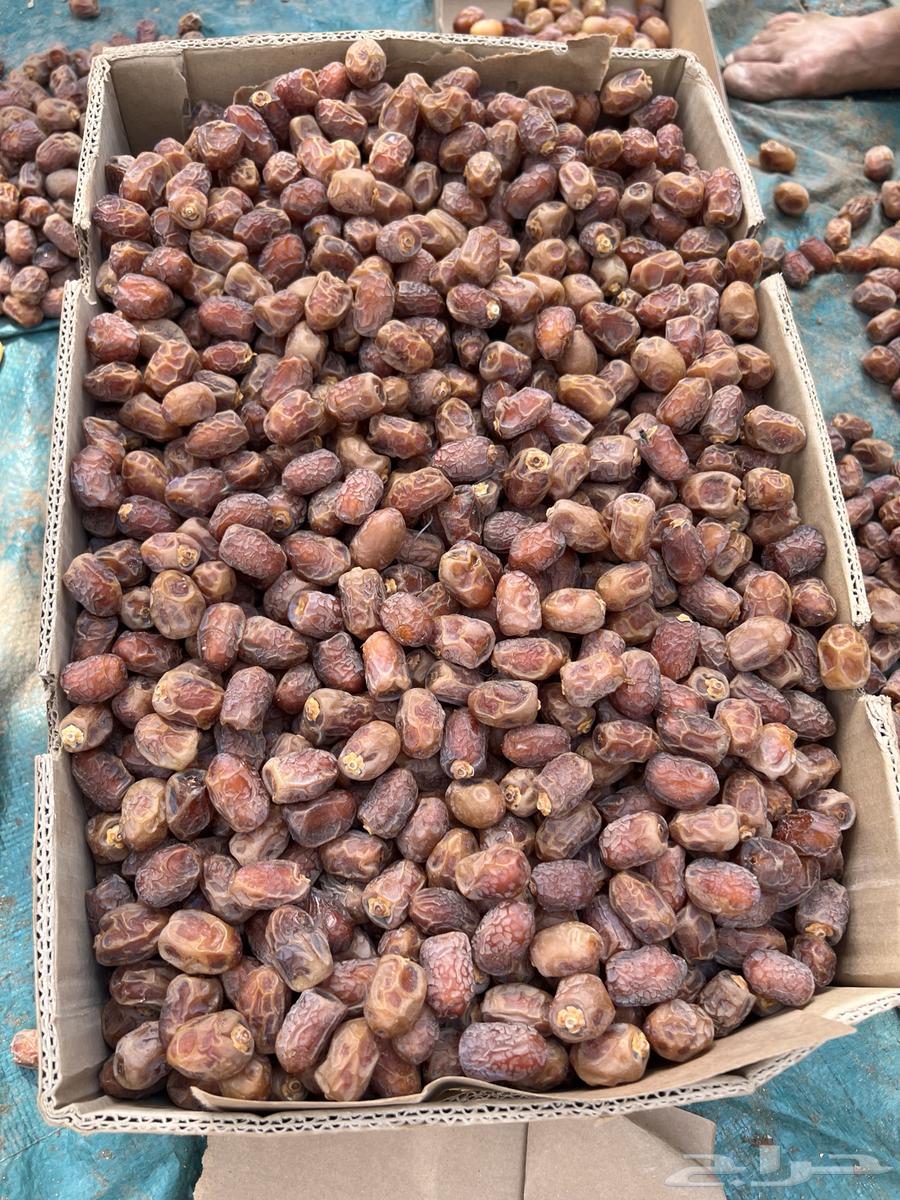 Finally, the center of Wadi Habah and some of it has the same peel as in the picture64200992599298110