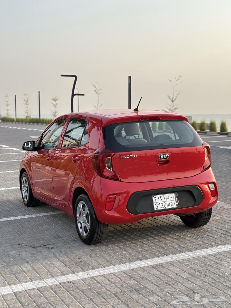 للبيع كيا بيكانتو موديل 2020 قمه في النظافه64386612996482113