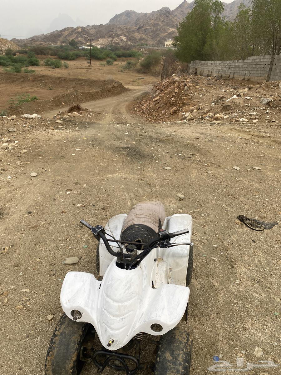 Four-wheeled tracked vehicle with handles64386641309825110