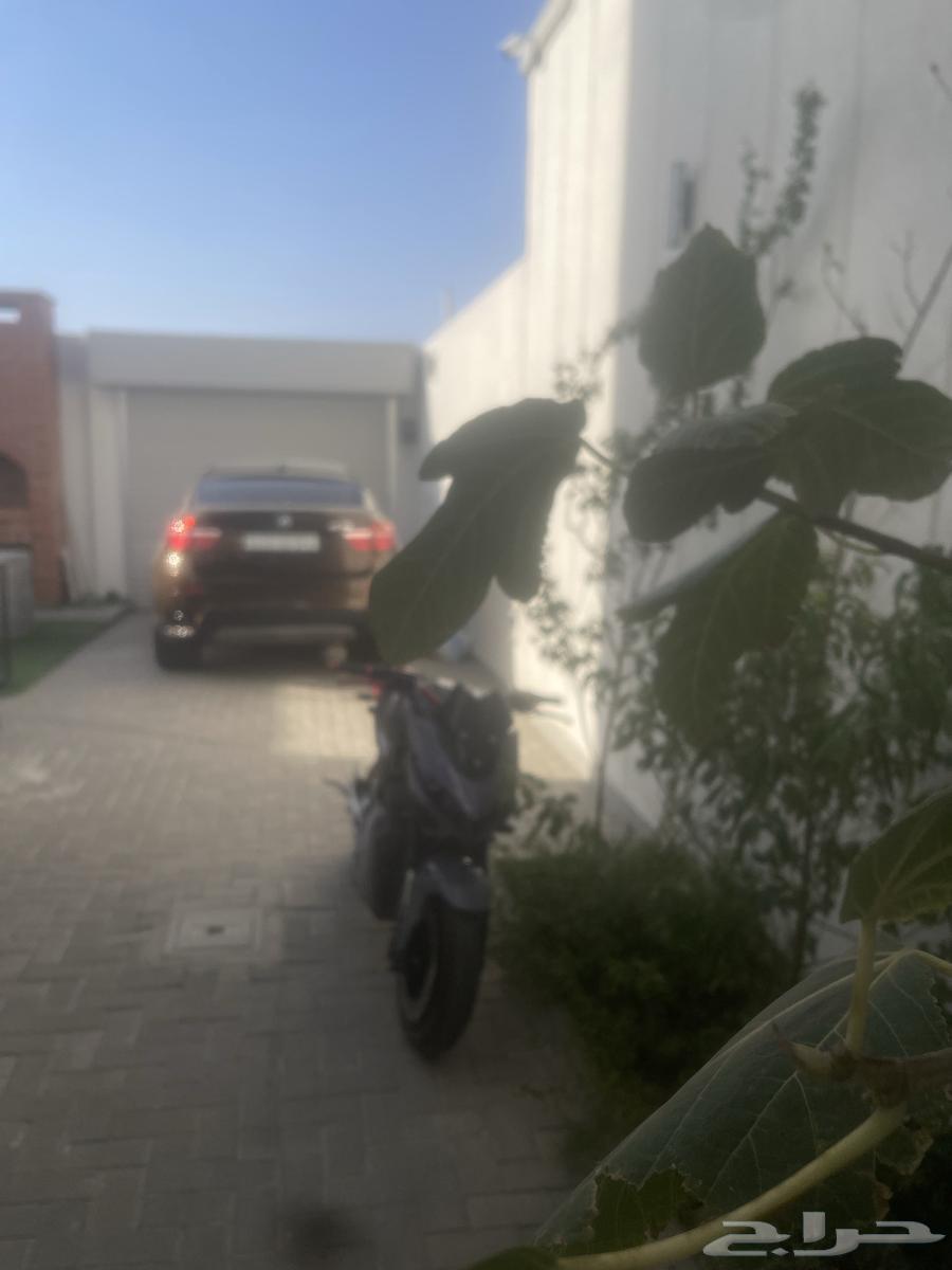 دباب ريس كهربائي ممشى500k فقط سعر جدا مناسب اليوم فقط 270064387579009283110