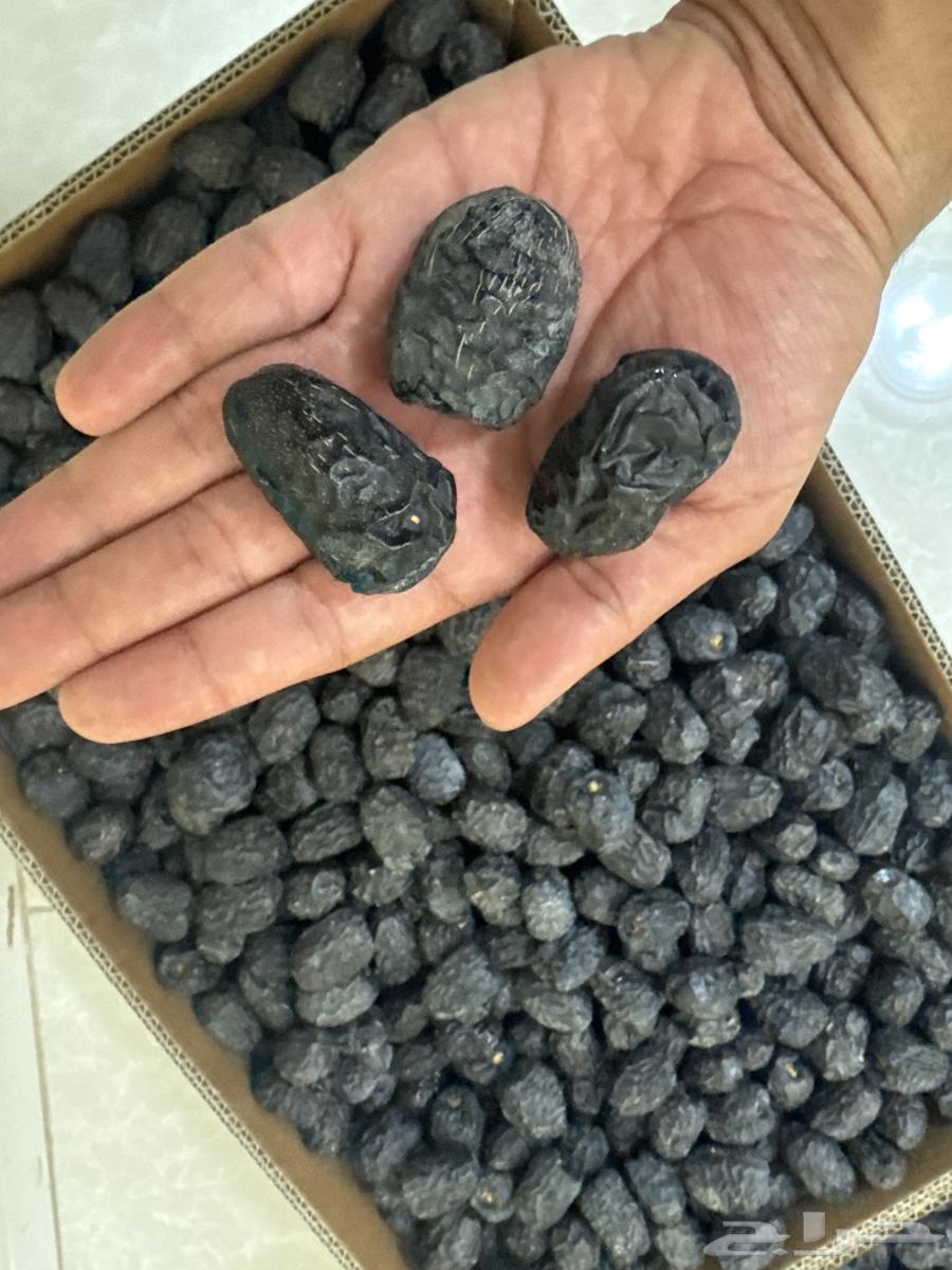 تمر عجوة المدينة المنورة الفاخر64192728453507110