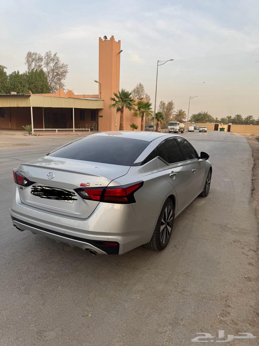 Tayma 202264395102323459113