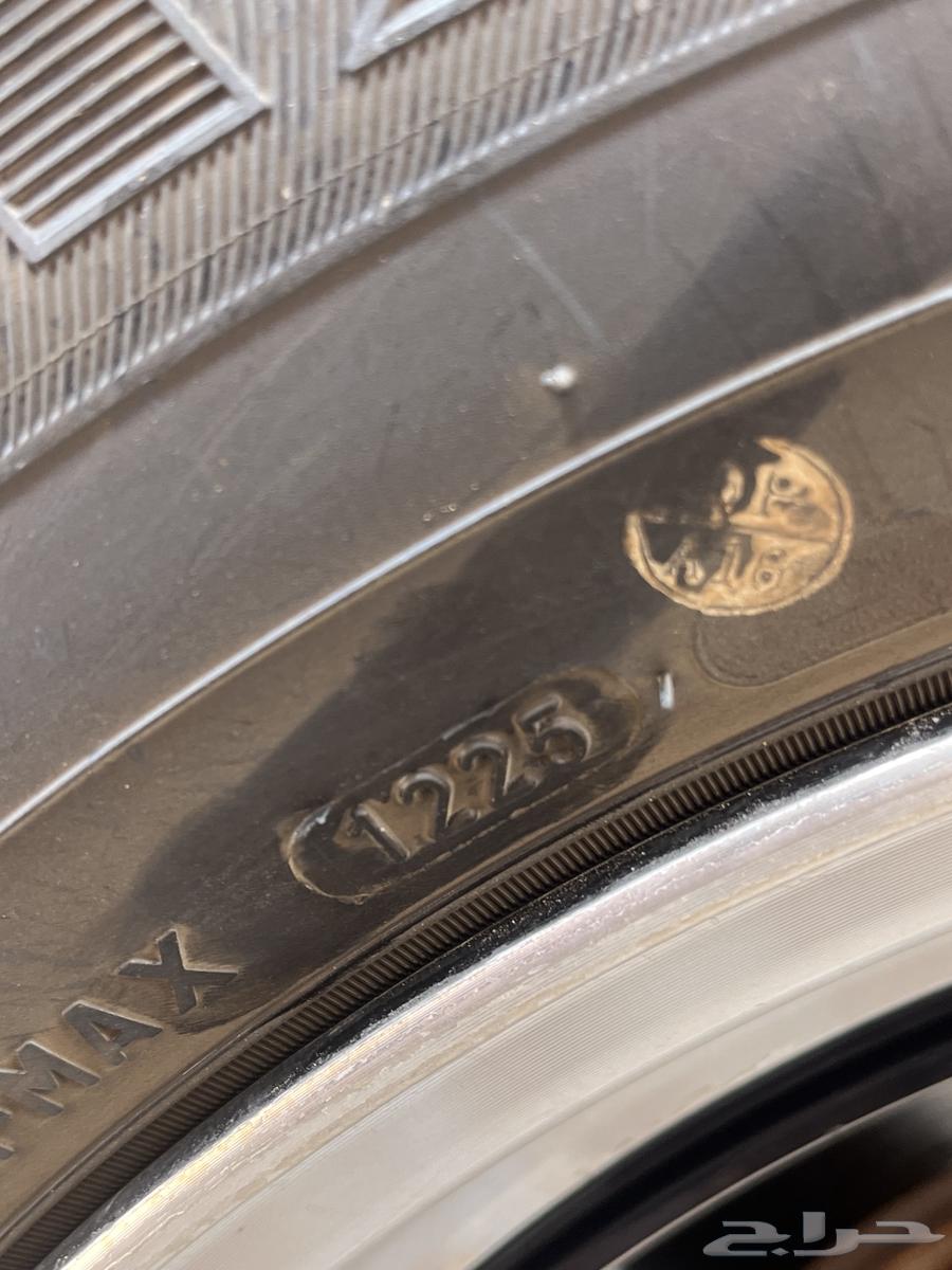 جنوط ويلد موستنق64390374897281111