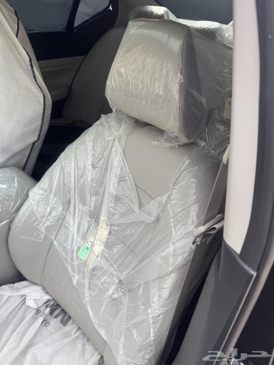 التيما 2022 فل الفل64395310453890112