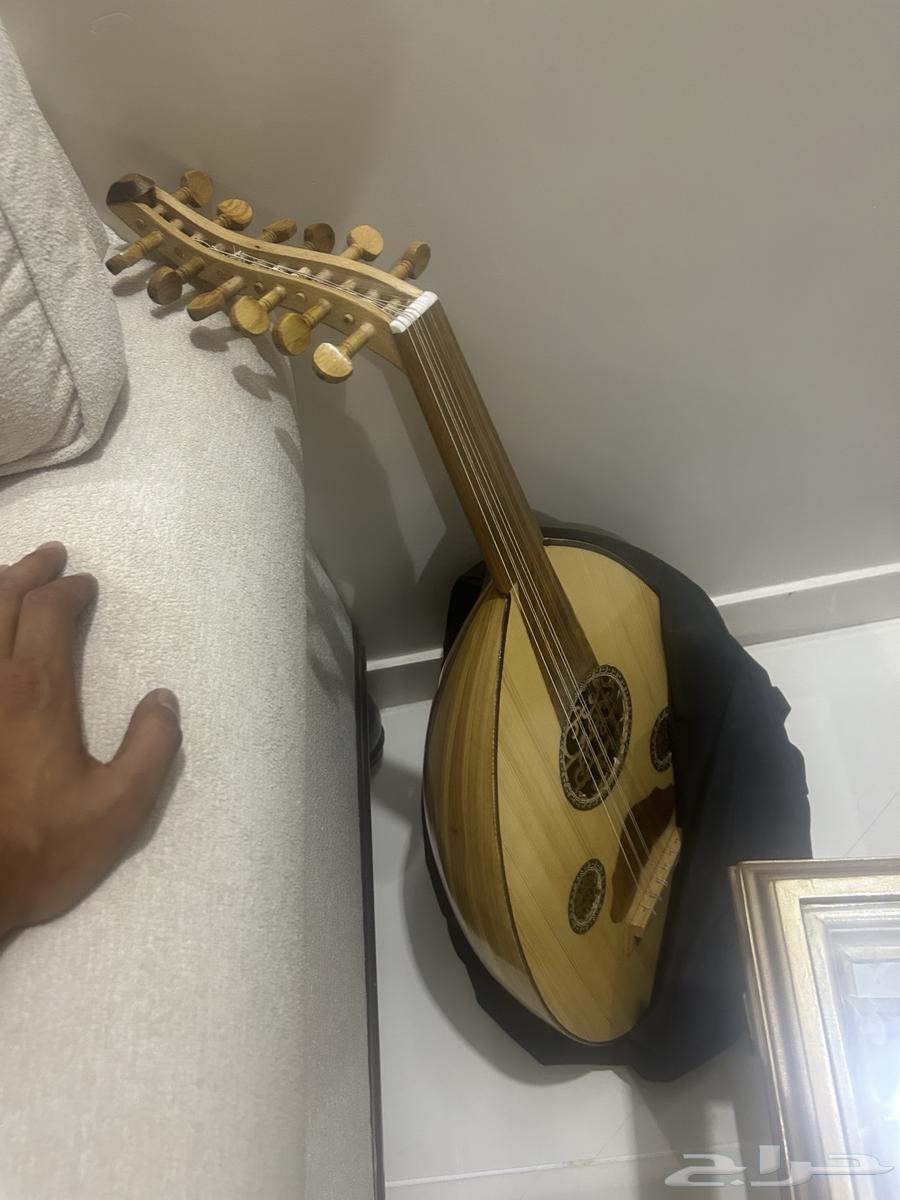 عود موسيقي للبيع64202836499459111