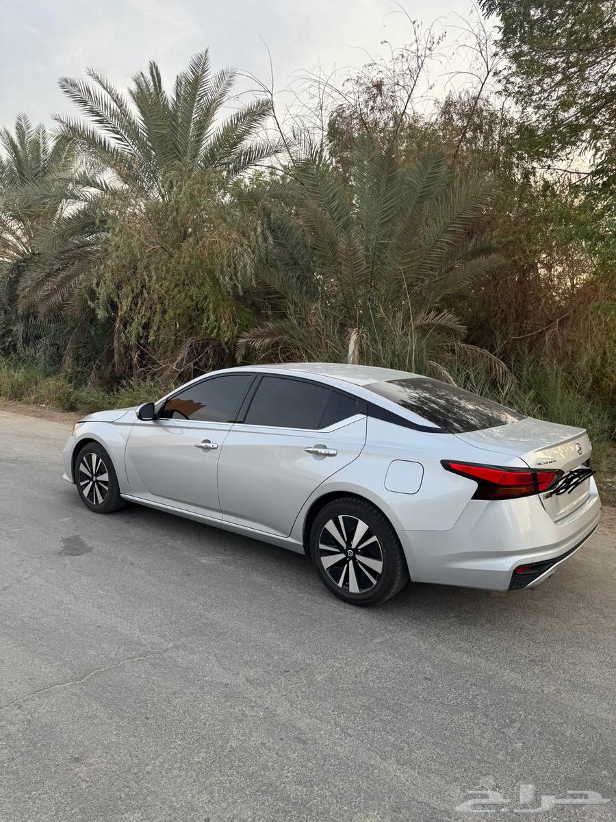 Tayma 202264395102323459110