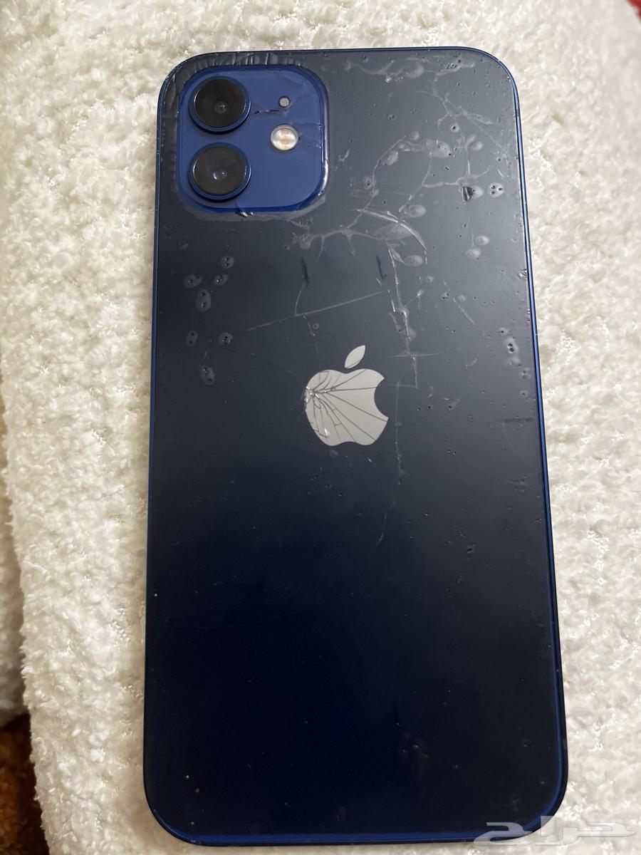 iPhone 1264202229415042111