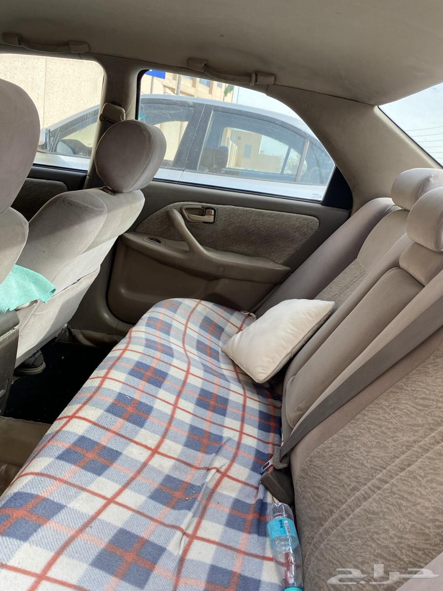 Camry 9964391036786051114