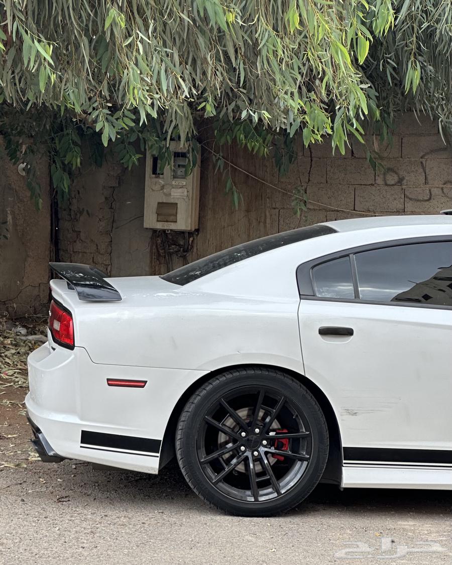 جنوط تشارجر للبيع64386206796417113