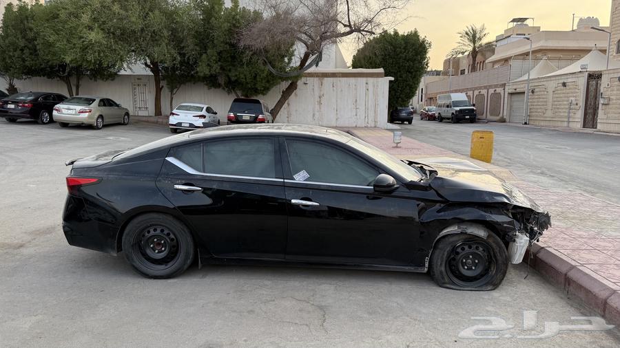 Tayma Full Text 202464394123065858114